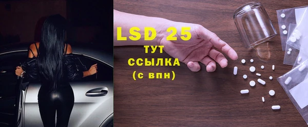PSILOCYBIN Вязники