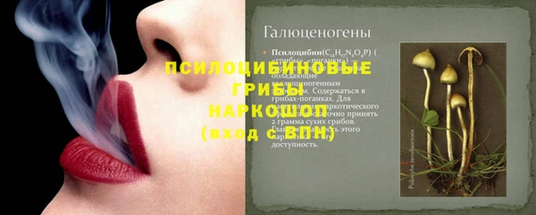 стафф Вяземский