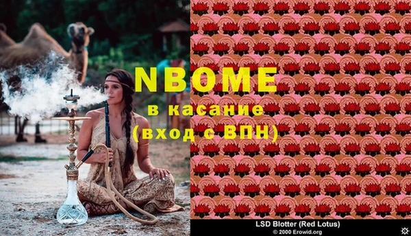 PSILOCYBIN Вязники