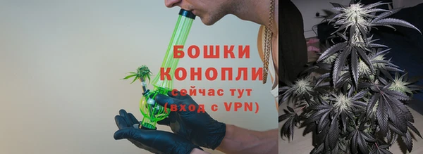 стафф Вяземский