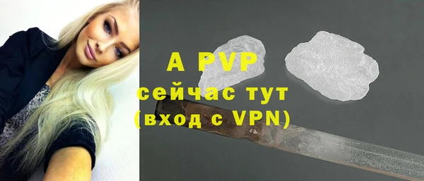 стафф Вяземский