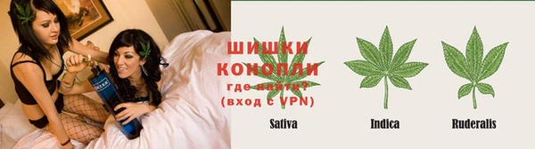 PSILOCYBIN Вязники