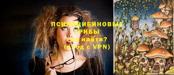 PSILOCYBIN Вязники